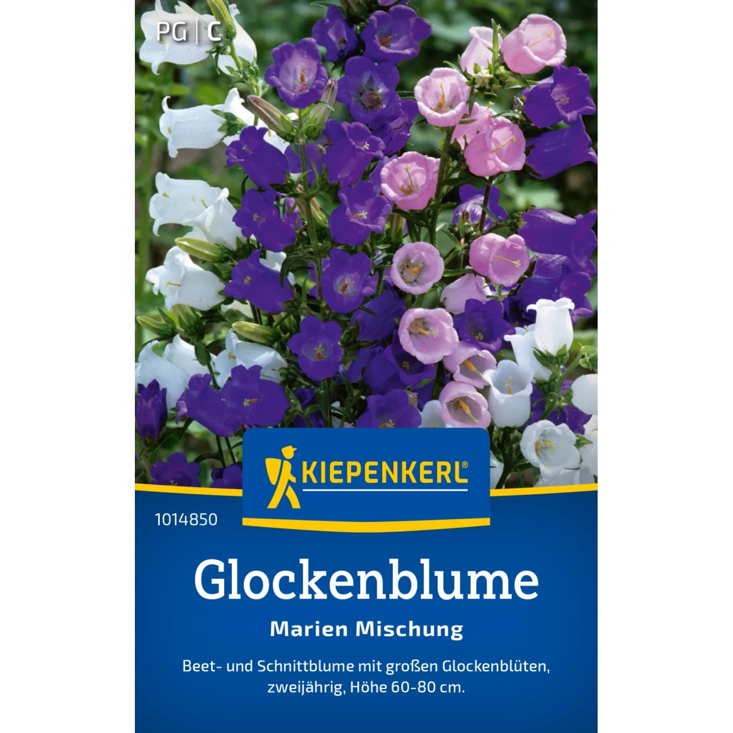 Kiepenkerl Glockenblume "Marien Mischung" Campanula patula