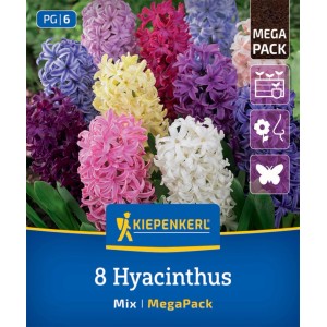 Kiepenkerl Hyazinthen Mischung, Mega-Pack mit bunten Blüten in Rosa, Blau, Weiß und Gelb.