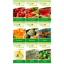 Deine Gartenwelt Obst Samen-Set mit 9 Sorten: Erdbeeren, Rhabarber, Melone, Andenbeere, Sanddorn, Goji, Maracuja.