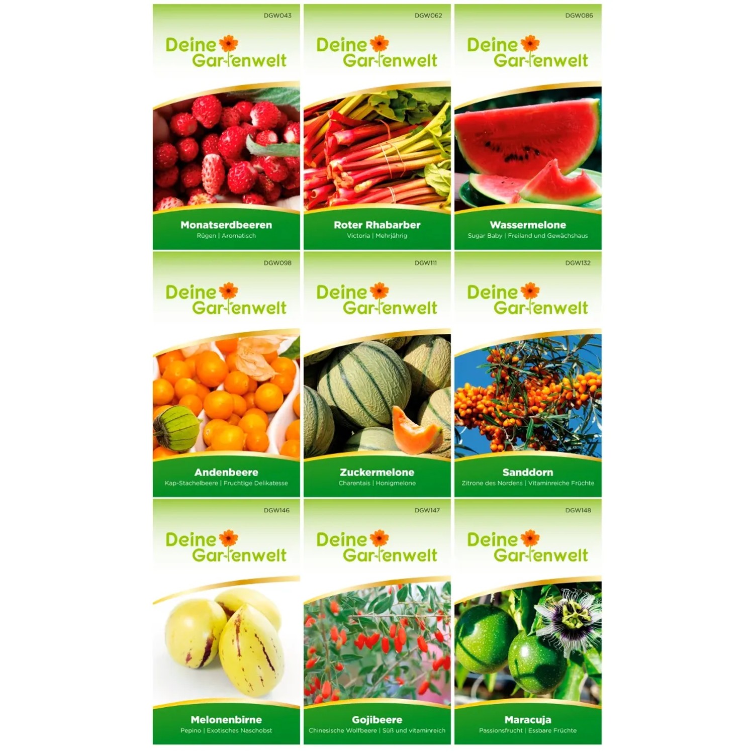 Deine Gartenwelt Obst Samen-Set mit 9 Sorten: Erdbeeren, Rhabarber, Melone, Andenbeere, Sanddorn, Goji, Maracuja.