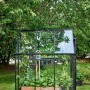 Schwarzes Halls Gewächshaus Qube 66 mit Pflanzen im Garten.
