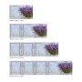 MySpotti Küchenrückwand Profix Cucina Vintage Lavendel, violette Küchenwand mit Lavendelmotiv.