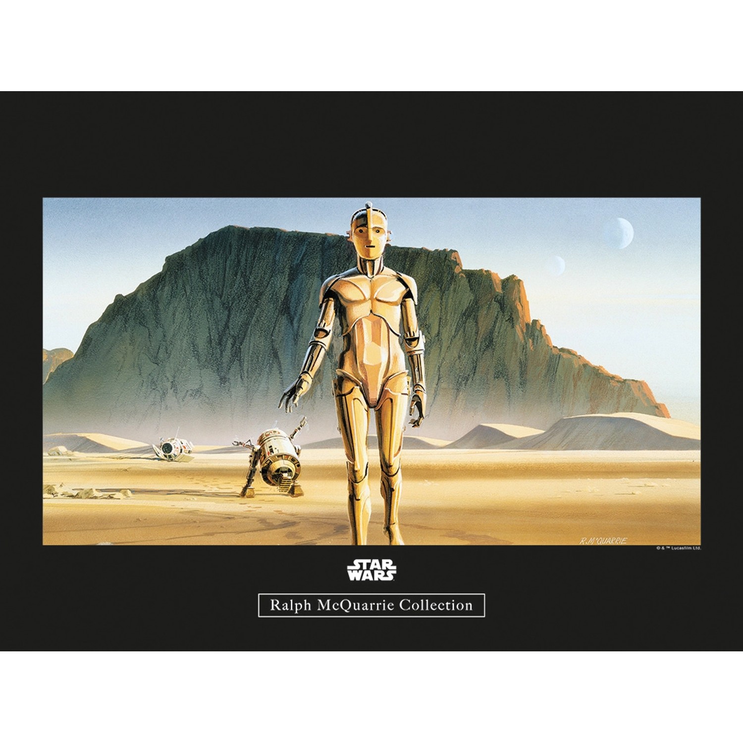 Komar Wandbild Star Wars Droids 50 x 40 cm günstig online kaufen