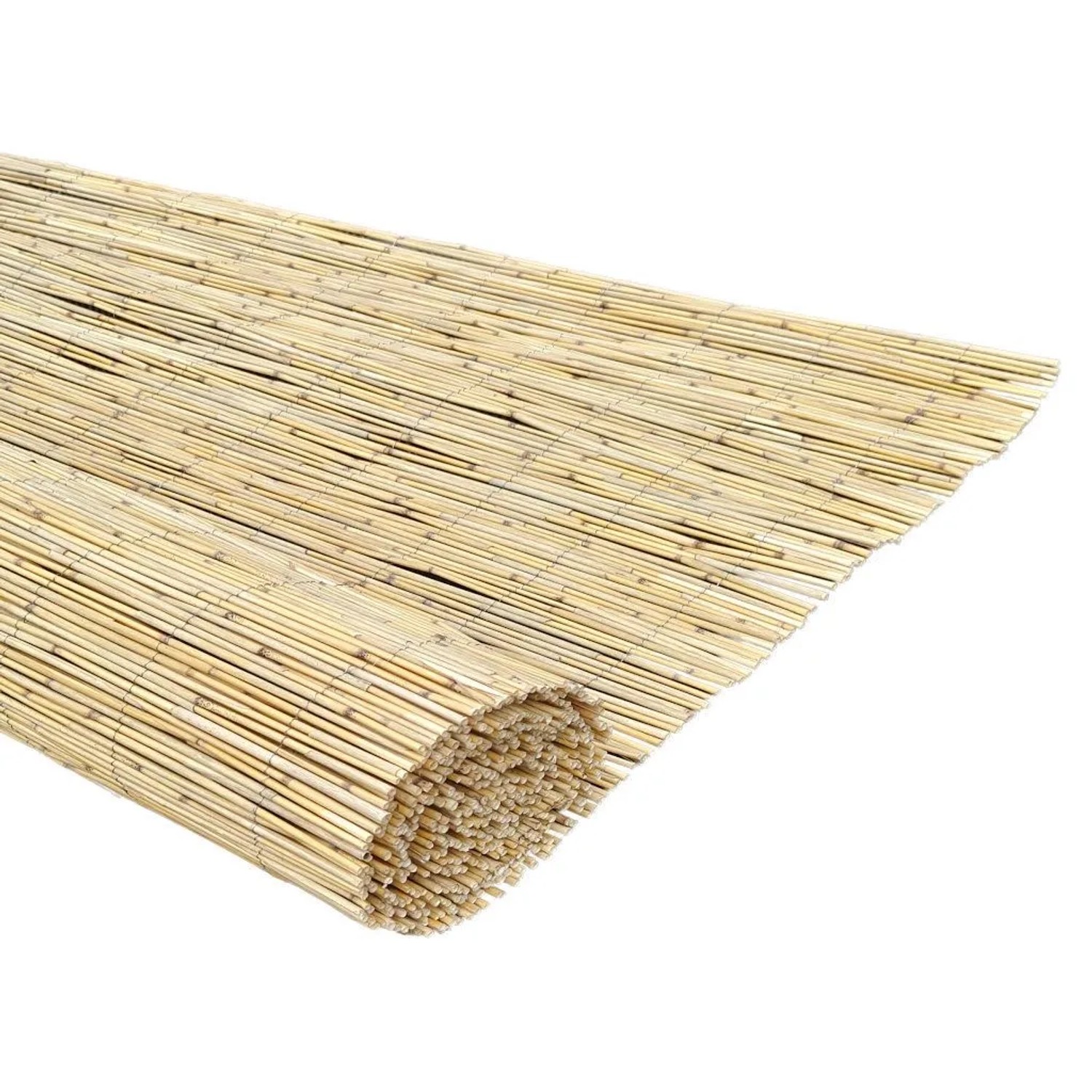 Outgarden Sichtschutz Schilfrohrmatte Föhr 300 x 160 cm