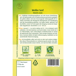 Quedlinburger Gelbsenf Großpackung, einjährig, zur Gründüngung und Bodenverbesserung.