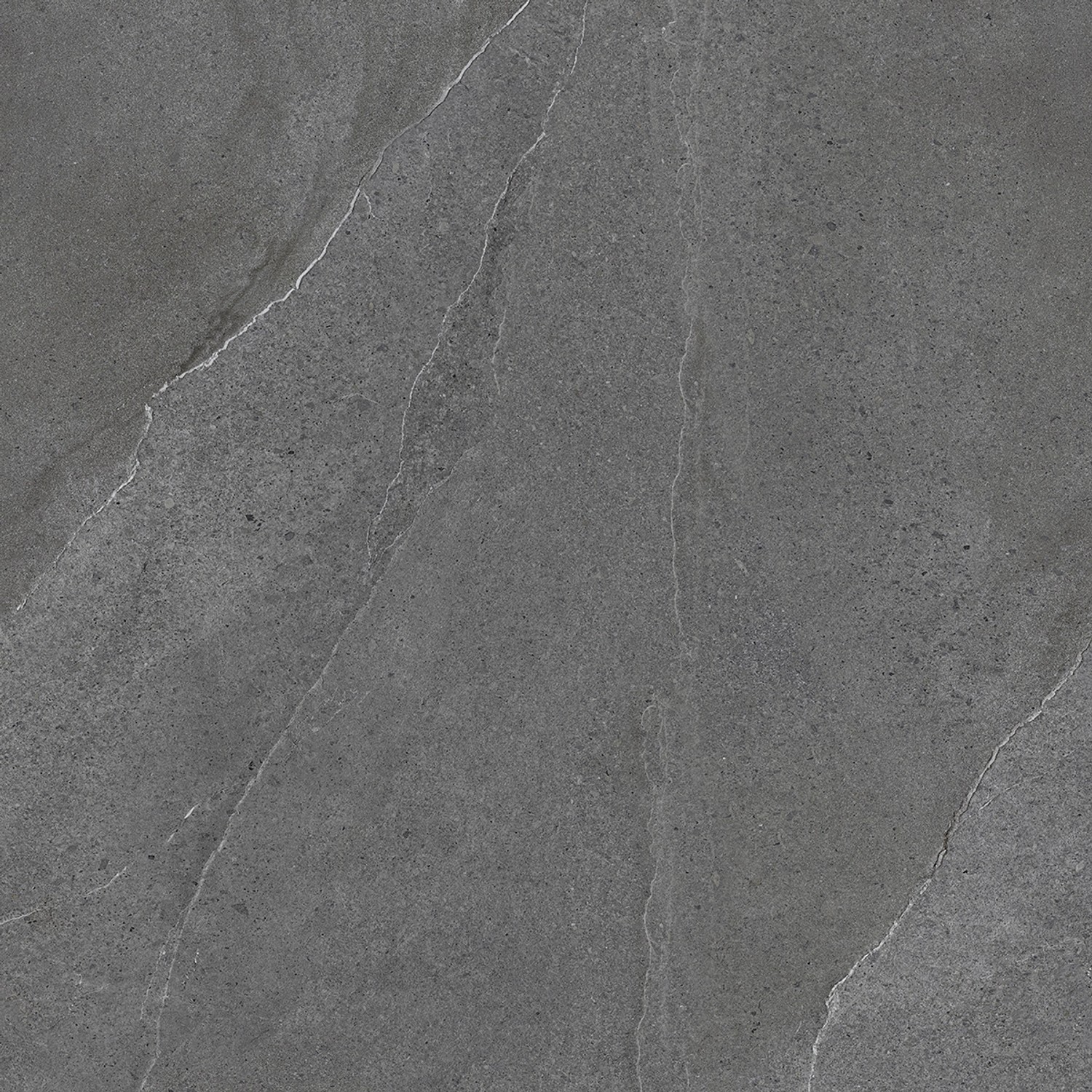 Bodenfliese Feinsteinzeug Burlington 60 cm x 60 cm günstig online kaufen