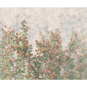 Komar Vliesfototapete Wall Roses, Rosenmuster für die Wand, 300x250 cm.
