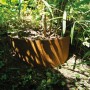 Bellissa Collina Hangpflanzschale aus Cortenstahl zur Hangbefestigung und Bepflanzung im Garten.