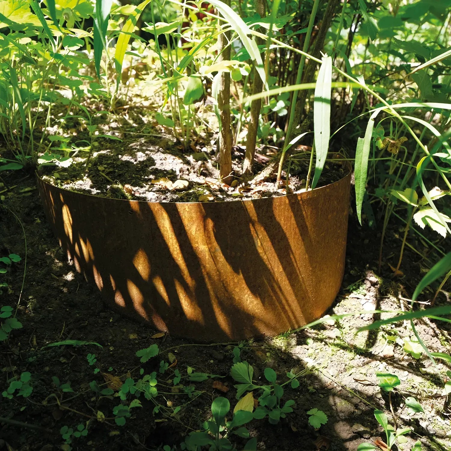 Bellissa Collina Hangpflanzschale aus Cortenstahl zur Hangbefestigung und Bepflanzung im Garten.