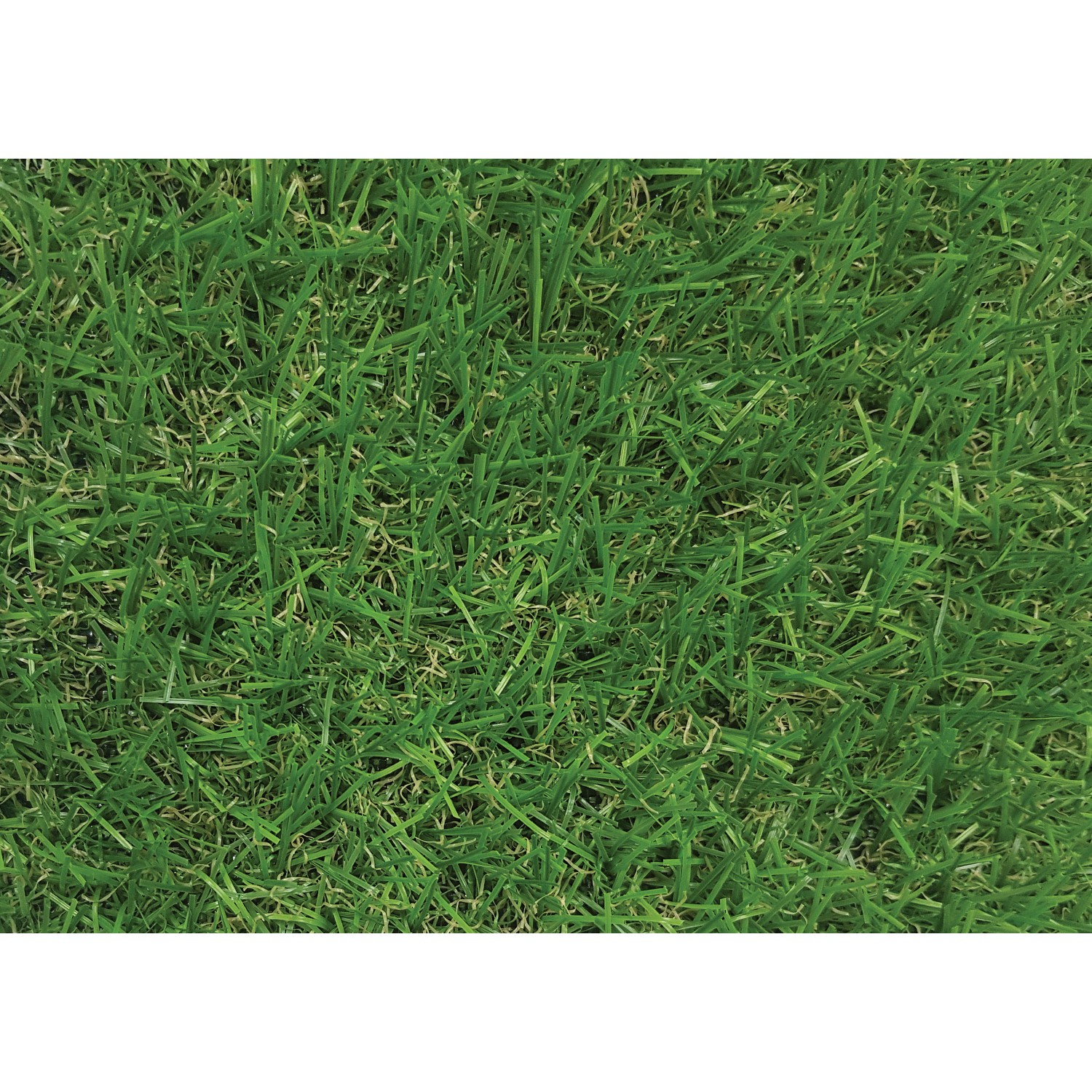 Drainage Löcher Rasenfliesen Andiamo Kunstrasen Fliesen 30x30cm - 10er Set  Für Balkon \u0026 Terrasse, Praktisches Klicksystem Kunstrasen 30x30 Cm, image size:1500x1500