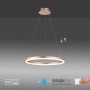 Moderne LED-Pendelleuchte Titus von Paul Neuhaus, 40 cm Durchmesser, Messing matt, dimmbar.