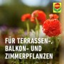 Blühende Pflanzen, gedüngt mit Compo Langzeit Blumendünger für Terrasse, Balkon und Zimmer.