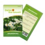 Deine Gartenwelt Gänseblümchen Einfach Weiß Samenpackung mit Blühenden Gänseblümchen im Hintergrund.