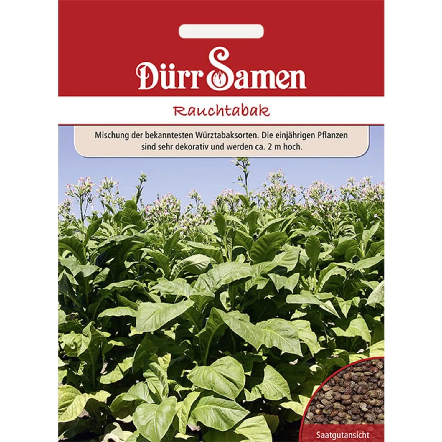 Dürr Samen Rauchtabak Mischung Saatgut