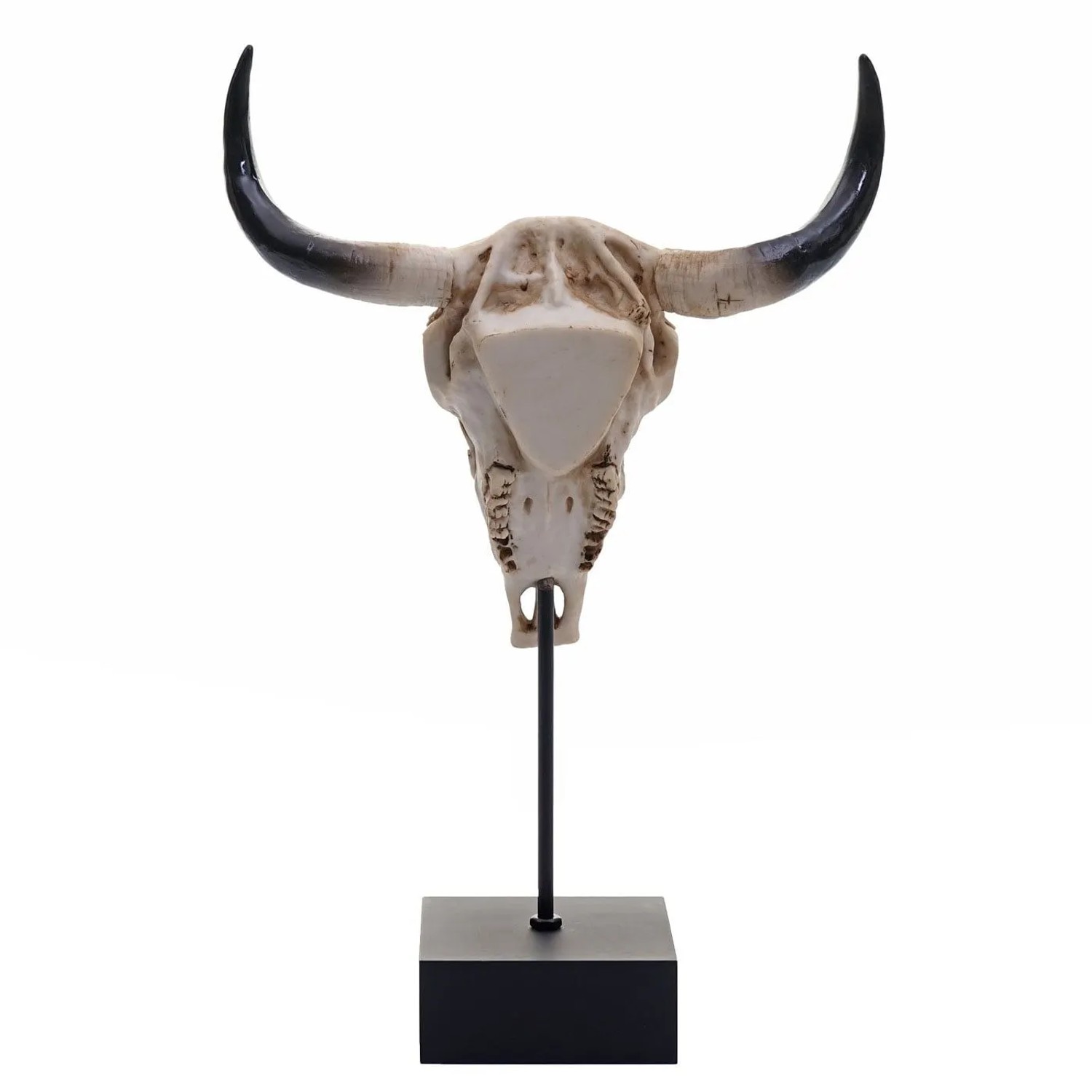 Dekorative Standfigur Kuhschädel aus Polyresin, naturgetreu, mit schwarzen Hörnern auf schwarzem Sockel.