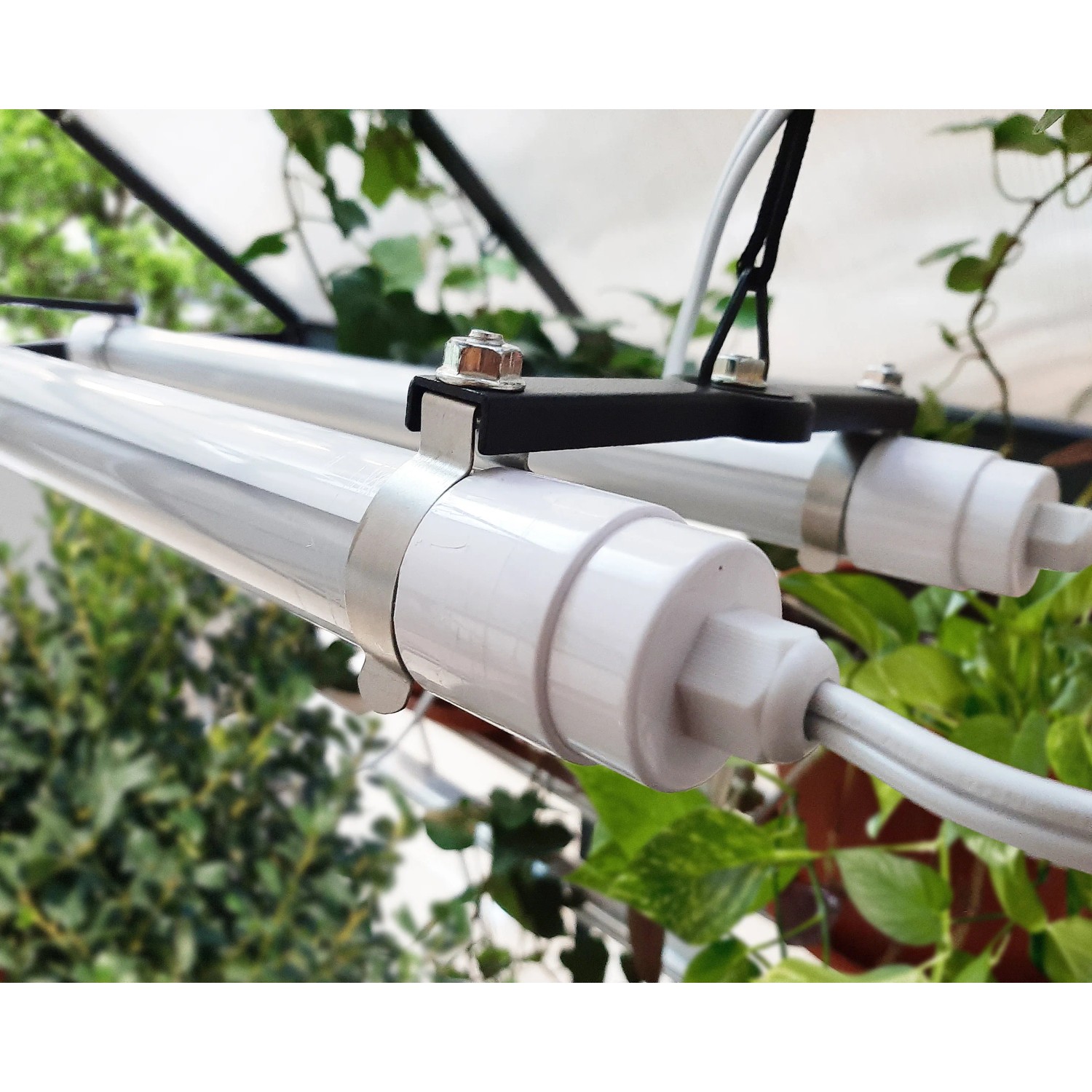 Palram Brighton LED Grow Light für Gewächshaus, 54x201x19cm, mit Aufhängung.