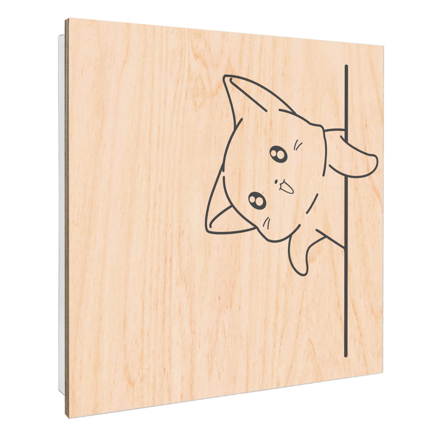 Banjado Schlüsselkasten mit Holzfront 30x30cm Weiß Scharnier Links 50 Haken günstig online kaufen