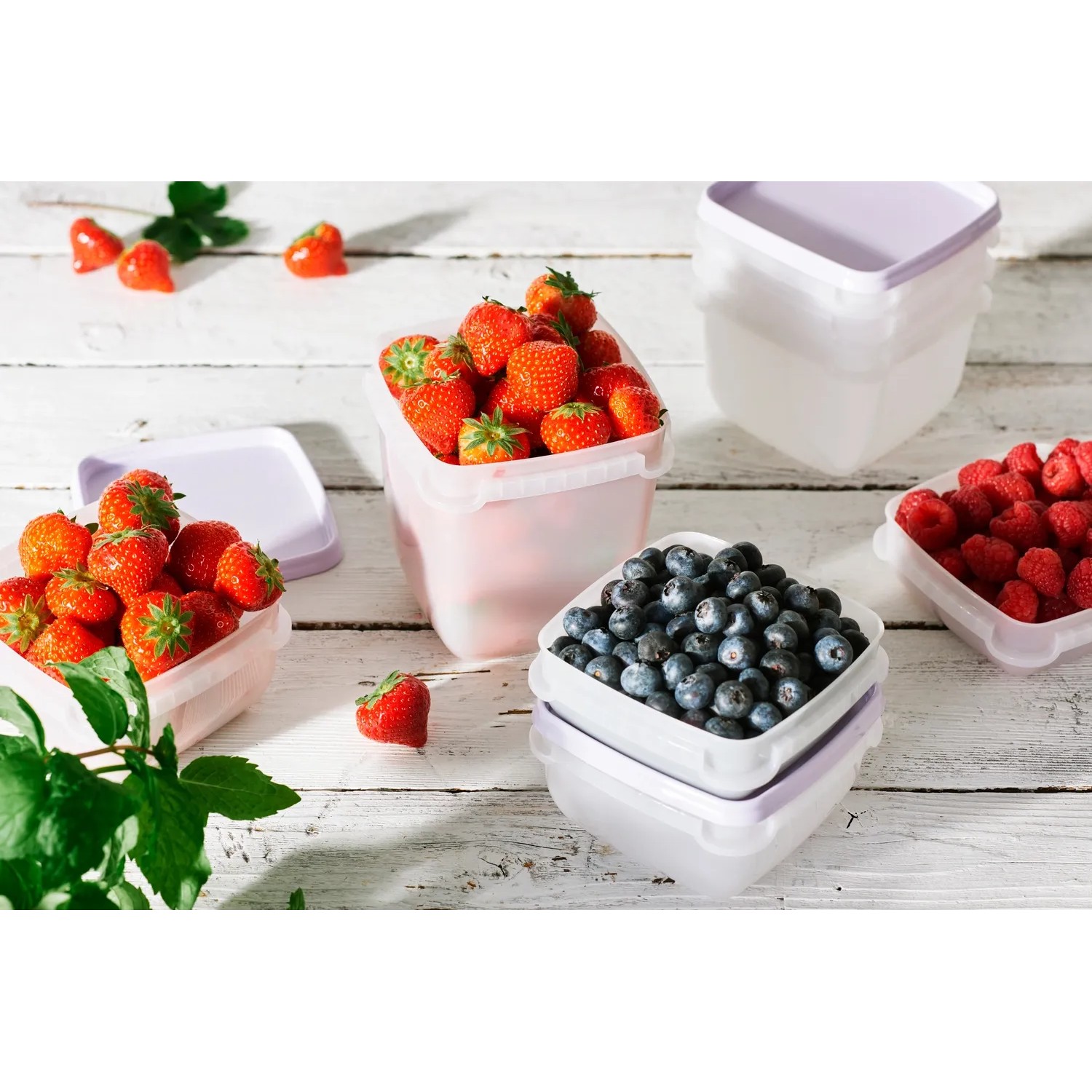 SmartStore Gefrierbox Frost 0,3 l 6 Stück kaufen bei OBI