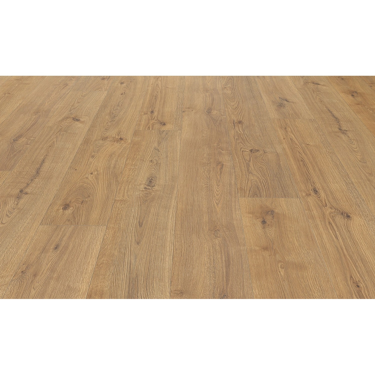 Living by Haro Laminatboden XL Eiche Calgary Natur