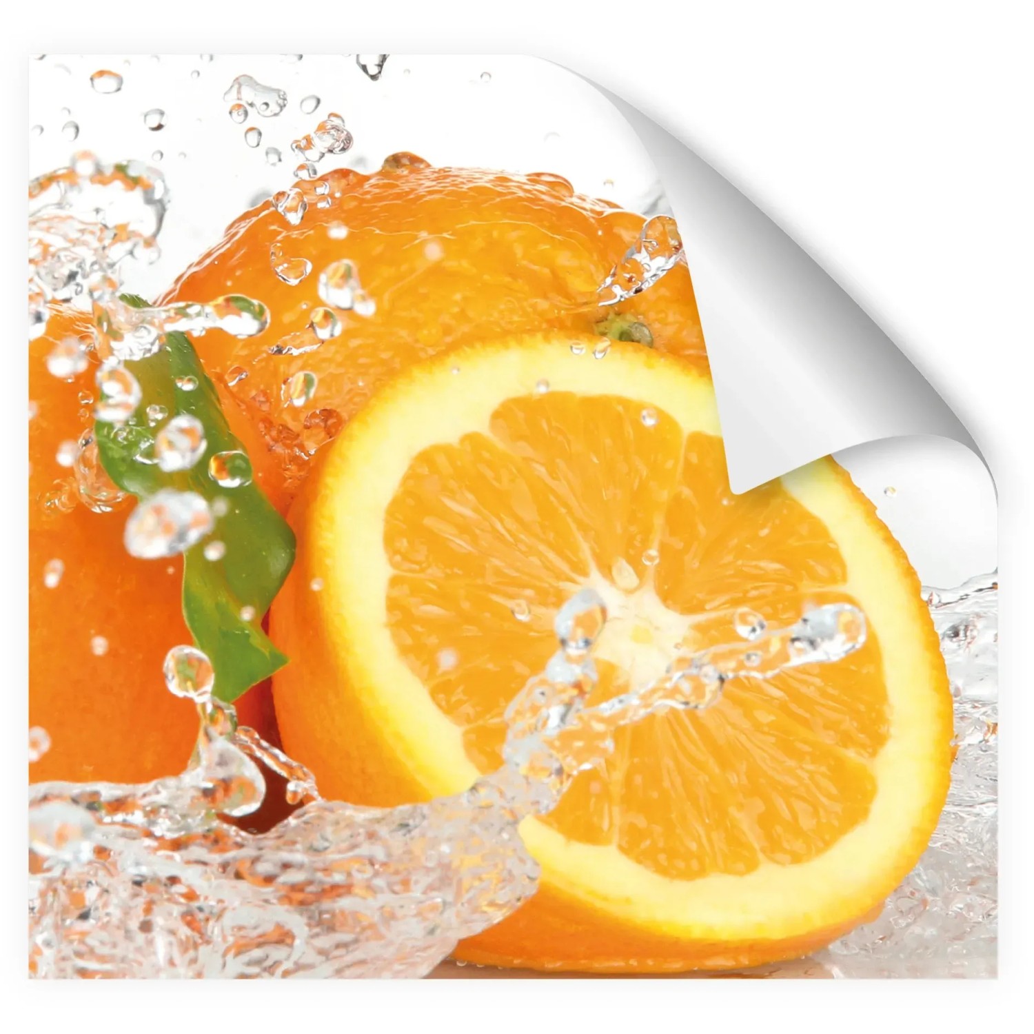 Myspotti Küchenrückwandfolie Aqua Orange mit Orangen und Wassertropfen.