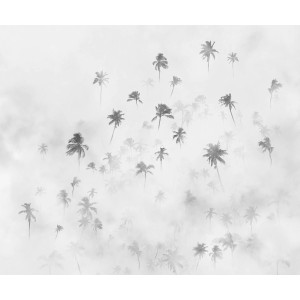 Komar Fototapete Salty Sea (300x250 cm) mit Palmen im Nebel, schwarz-weiß.