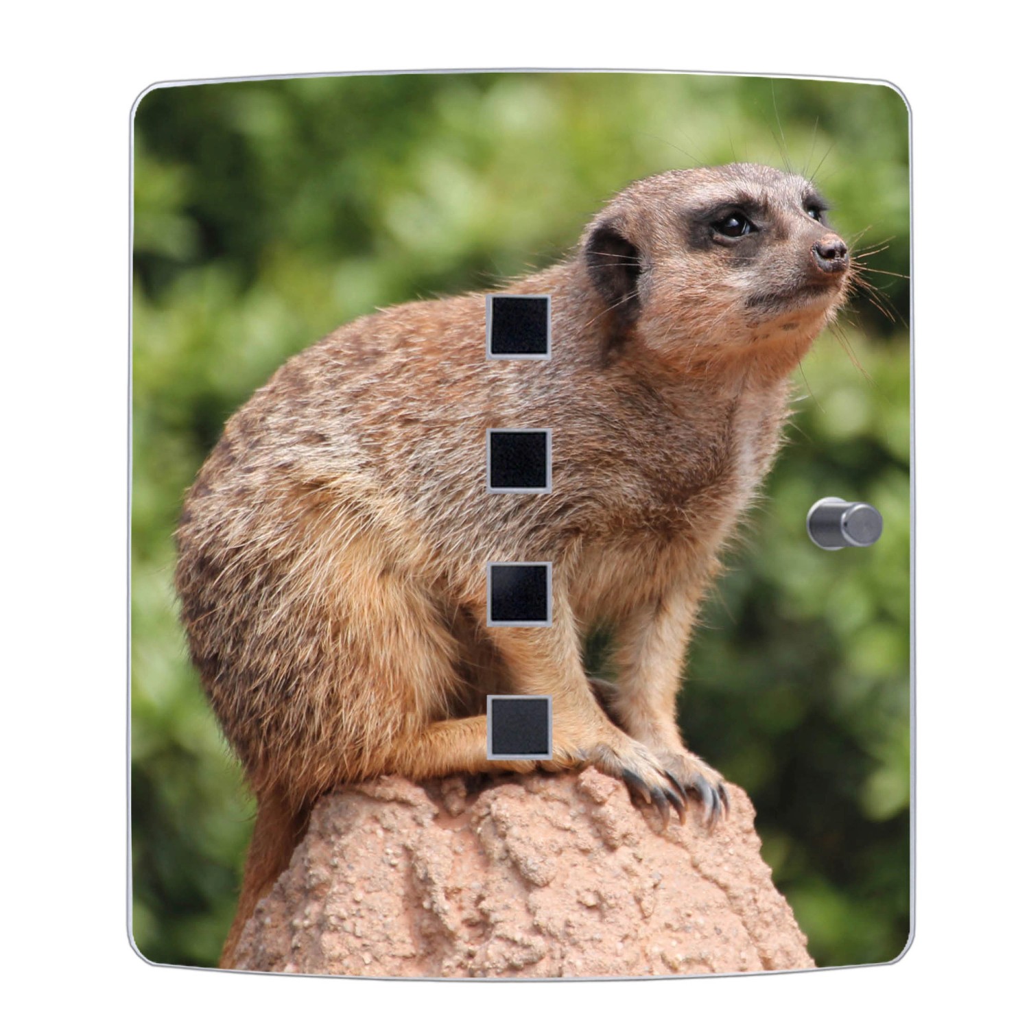 Banjado Schlüsselkasten Edelstahl mit Erdmännchen-Motiv, 24x21,5x7cm, für 10 Schlüssel.