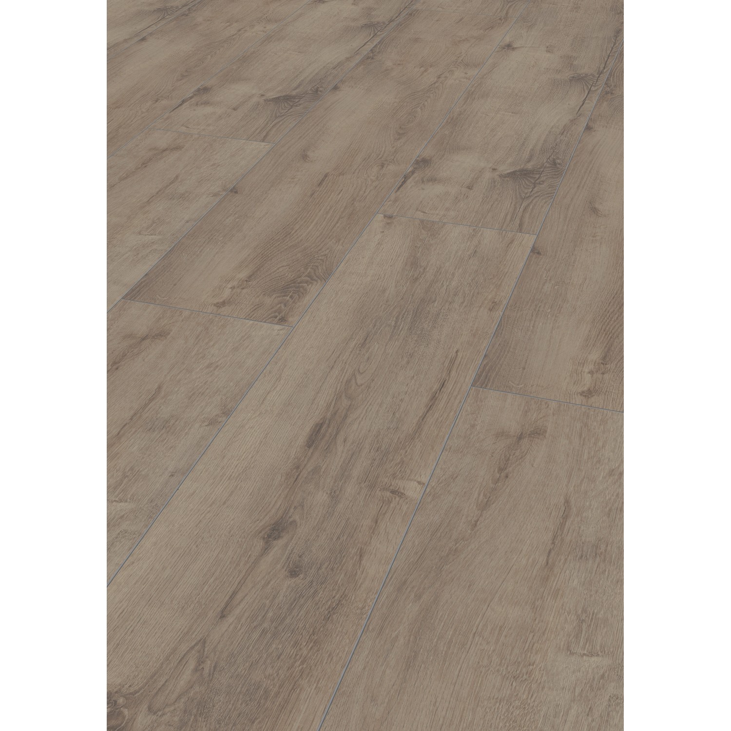 Jangal Laminatboden Oak National Park Line Plus Zion günstig online kaufen