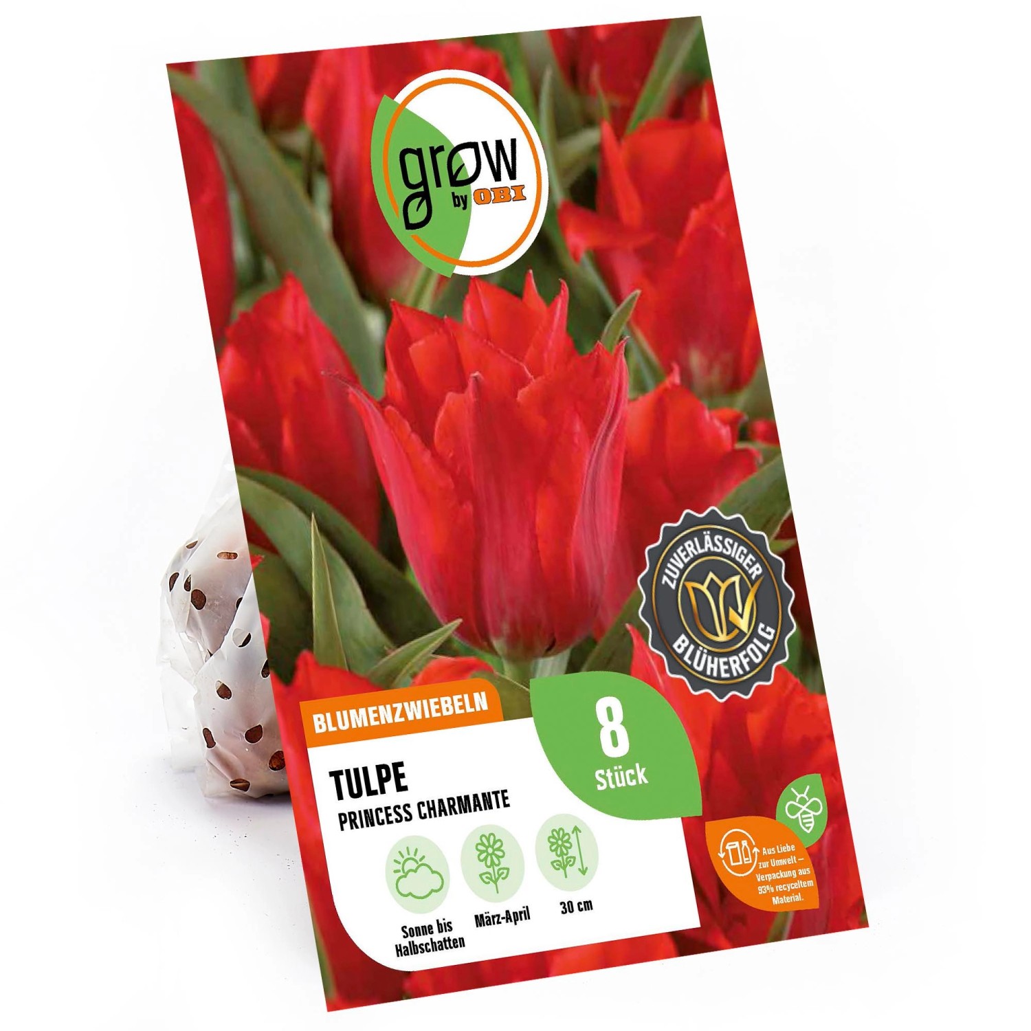 GROW by OBI Greigii-Tulpe Princess Charmante Rot 30 cm Tulipa greigii