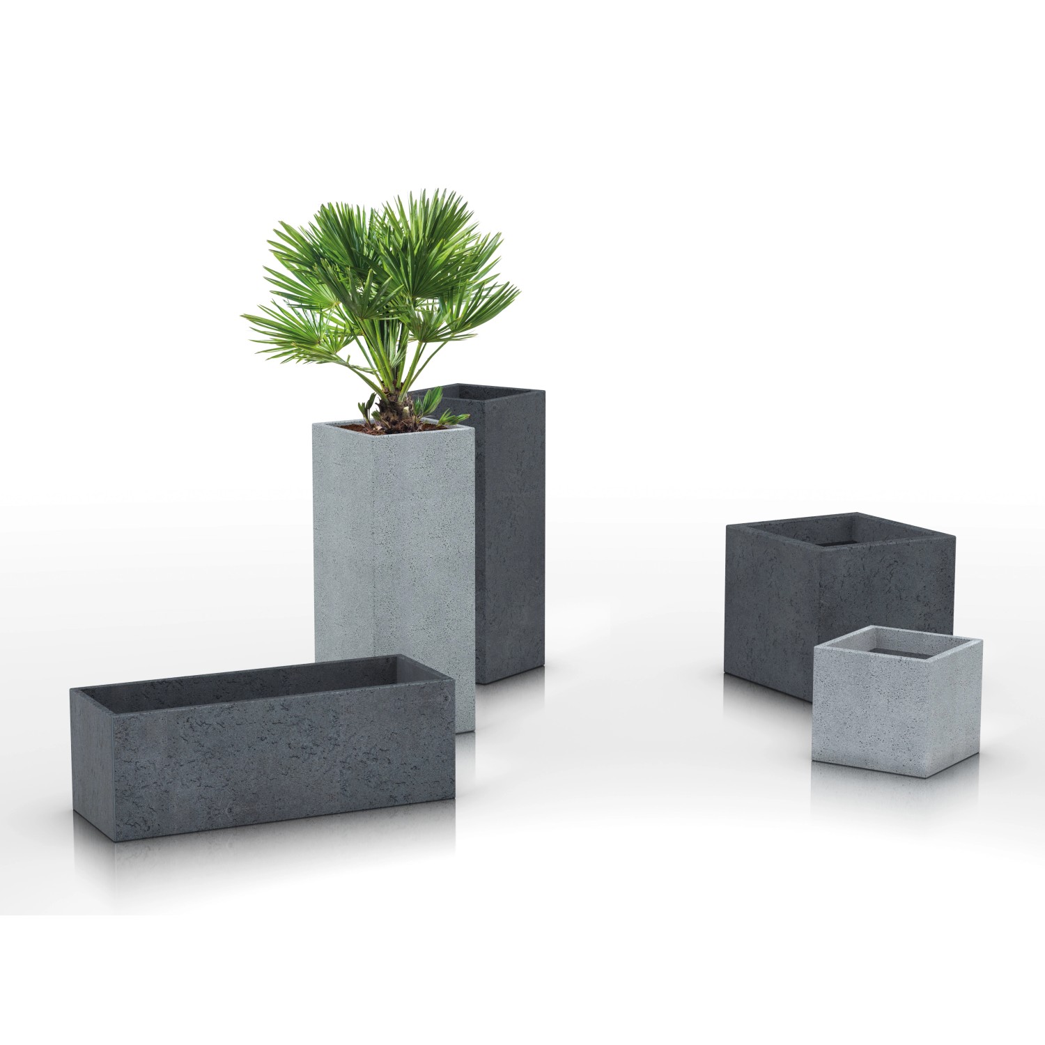 Scheurich C-Cube Pflanzgefäße in Stony Grey: Long, High und quadratische Kübel im Beton-Look.