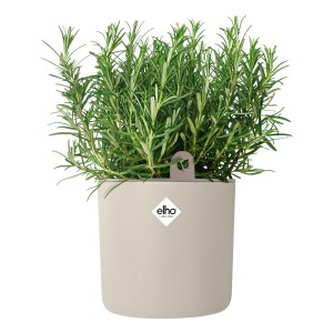 Elho Topf Happy Herbs, Ø 14 cm, Leinenweiß mit Rosmarin. Kräutertopf mit Bewässerungssystem.