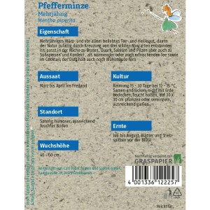 Saatguttütchen Grüne Fee Pfefferminze, mehrjährig. Kräutersamen für ca. 100 Pflanzen.