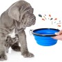 Blauer, faltbarer Reisenapf für Hunde, 350/1000 ml, mit Karabinerhaken.