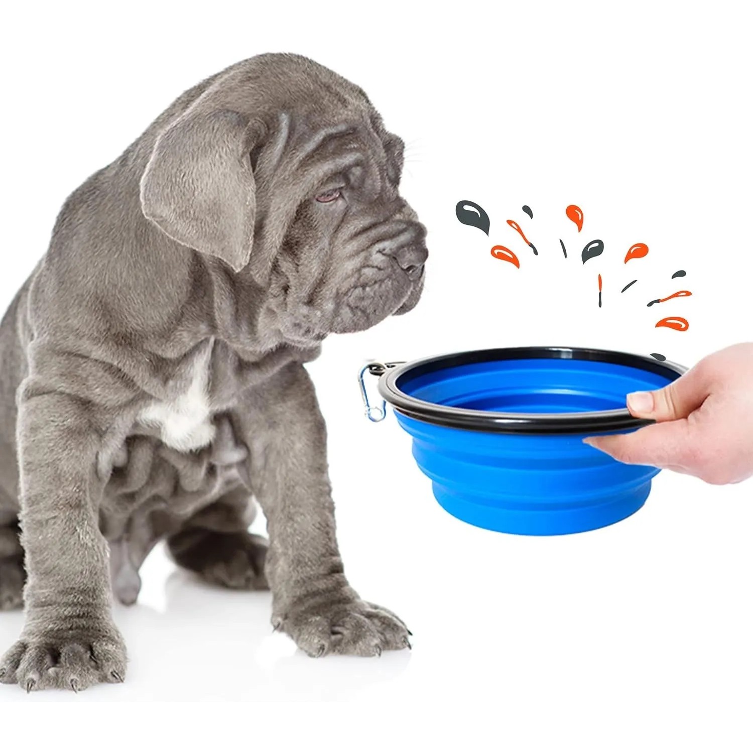 Blauer, faltbarer Reisenapf für Hunde, 350/1000 ml, mit Karabinerhaken.
