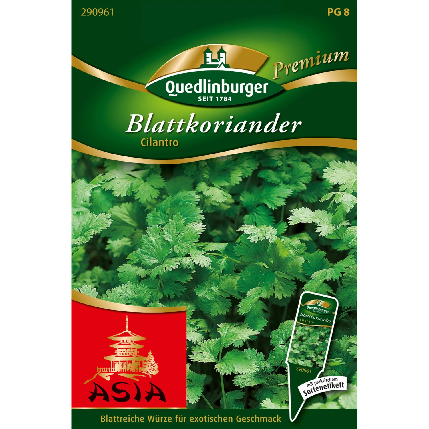 Quedlinburger Blatt-Koriander Cilantro Loses Saatgut günstig online kaufen