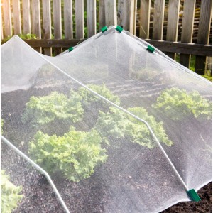 Windhager Insektenschutznetz, feinmaschig, weiß, schützt Salat im Garten vor Insekten.