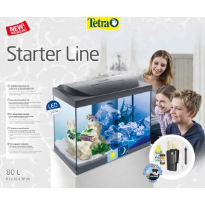 Tetra Starter Line LED Aquarium 80L Komplettset mit Fischen und Familie.