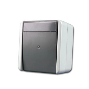 TEM Fontana Kontroll Schalter Grau 250V10A AP IP44