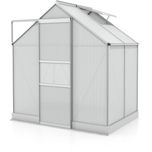 Kleines, silbernes Vitavia Gewächshaus Apollo 2500 mit geöffneter Tür und Dachfenster.