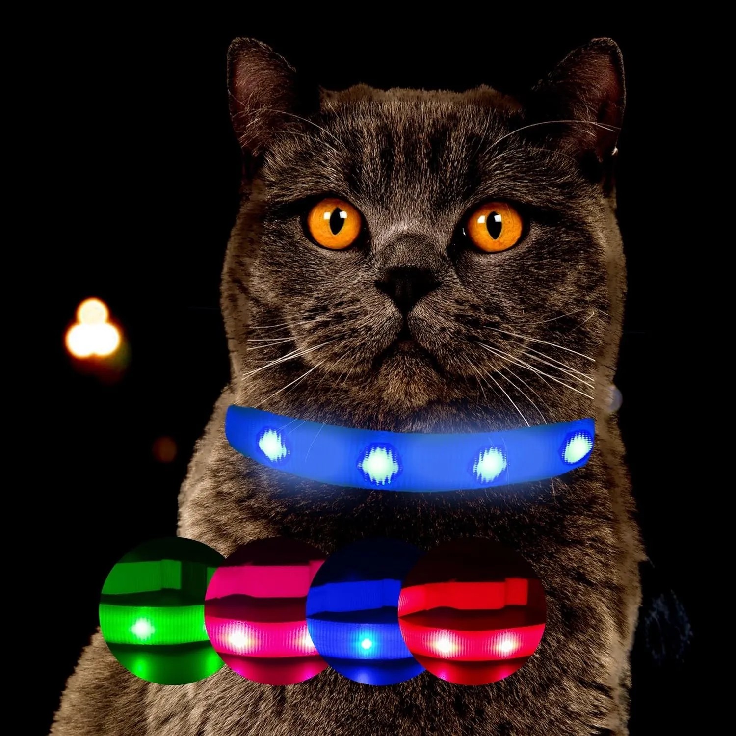 Blaues, leuchtendes Katzenhalsband an dunkler Katze. Farbmuster zeigen weitere Farben. Für sichere Sichtbarkeit bei Nacht.