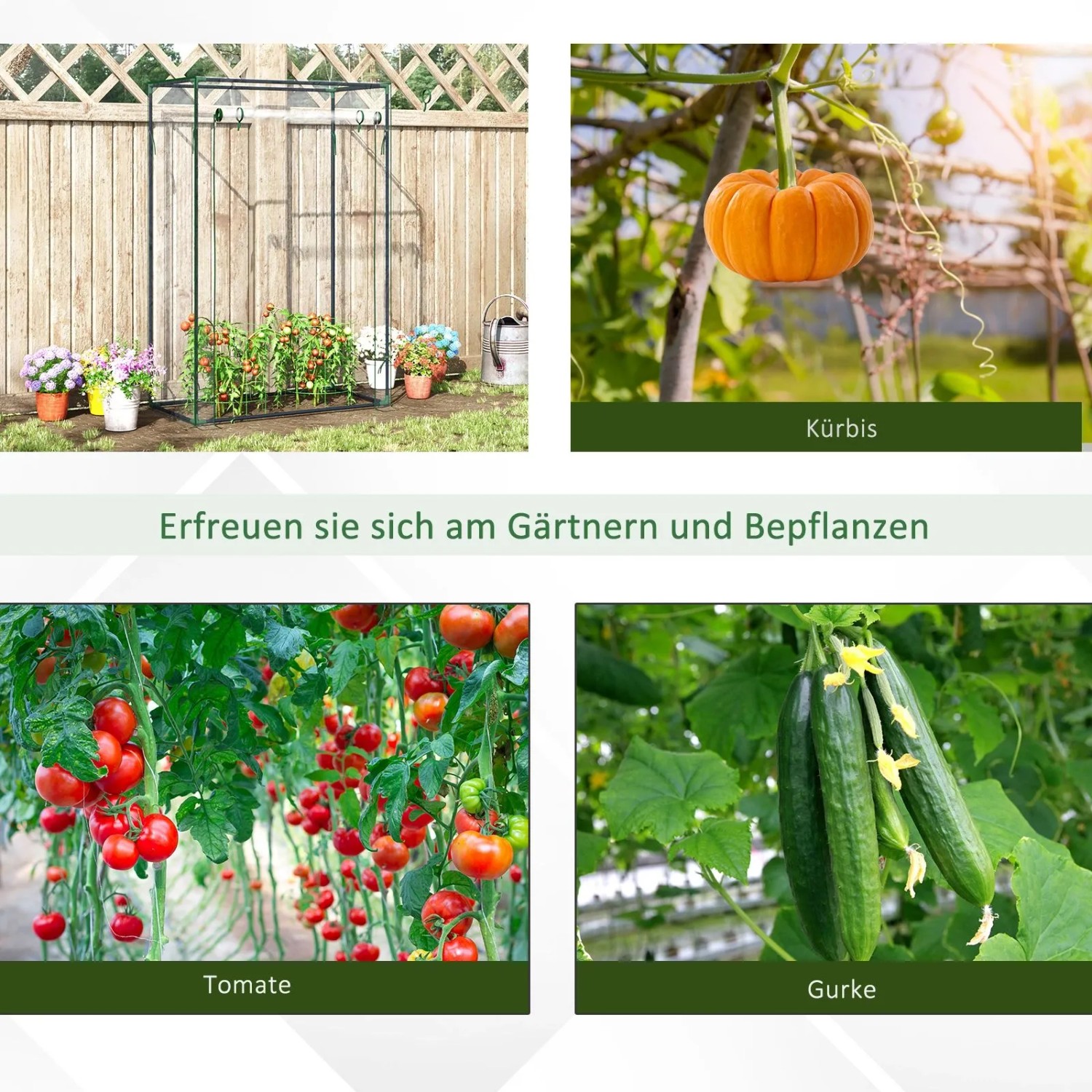 Furnicato Tomatenhaus Gewächshaus 100x50x150cm, transparent mit Stahlrahmen.