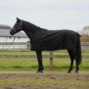 Dunkelgrüne vidaXL Pferdedecke aus Polyester, atmungsaktiv und wasserdicht.
