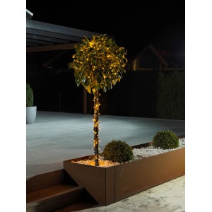 Konstsmide LED Lichterkette mit 160 bernsteinfarbenen LEDs an einem Baum im Außenbereich.