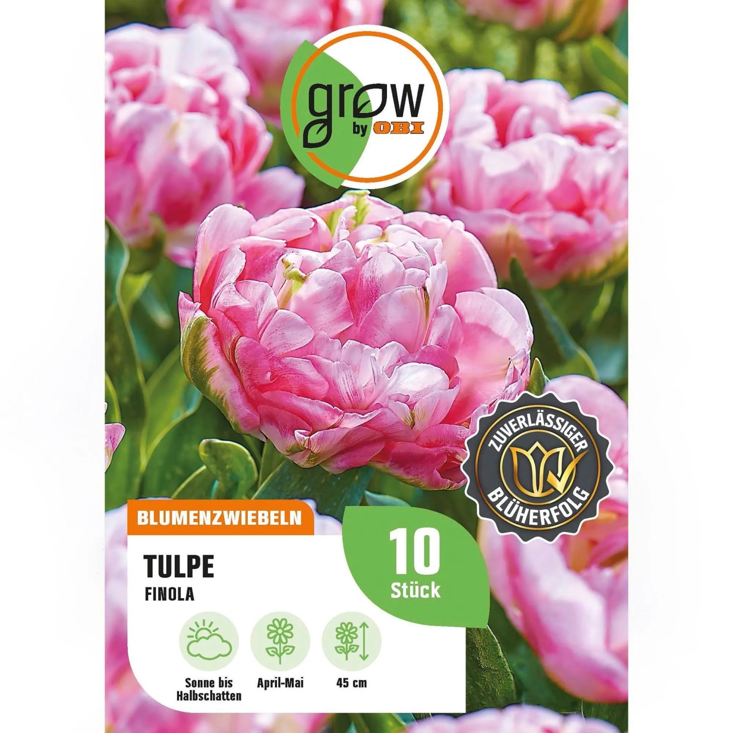 GROW by OBI Tulpe Finola Rosa 8 Stück Tulipa double,ate Finola