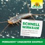 Neudorff Ungeziefer Eisspray: Silberfisch auf dunklem Untergrund, Text "Schnell wirksam".