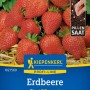 Kiepenkerl Erdbeere Elan Pillensaat: Reife, rote Erdbeeren mit grünen Blättern auf der Verpackung.