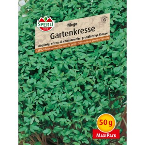 Sperli Gartenkresse Mega großblättrig, vitaminreiche Kräutersamen für Beet und Fensterbank.
