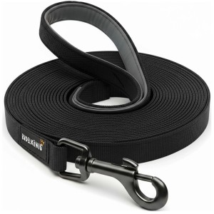 Rudelkönig Schleppleine Hund 5m Stoff 2,5 cm Breit Nylon für Training und Freilauf