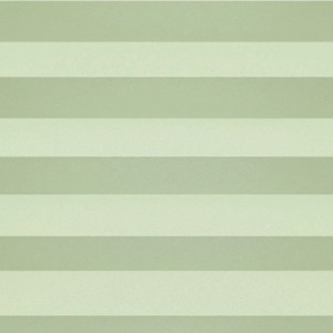Grünes Plissee Faltrollo Klemmfix aus Polyester, mit horizontalen Falten. Ideal für Fenster, Lichtregulierung.