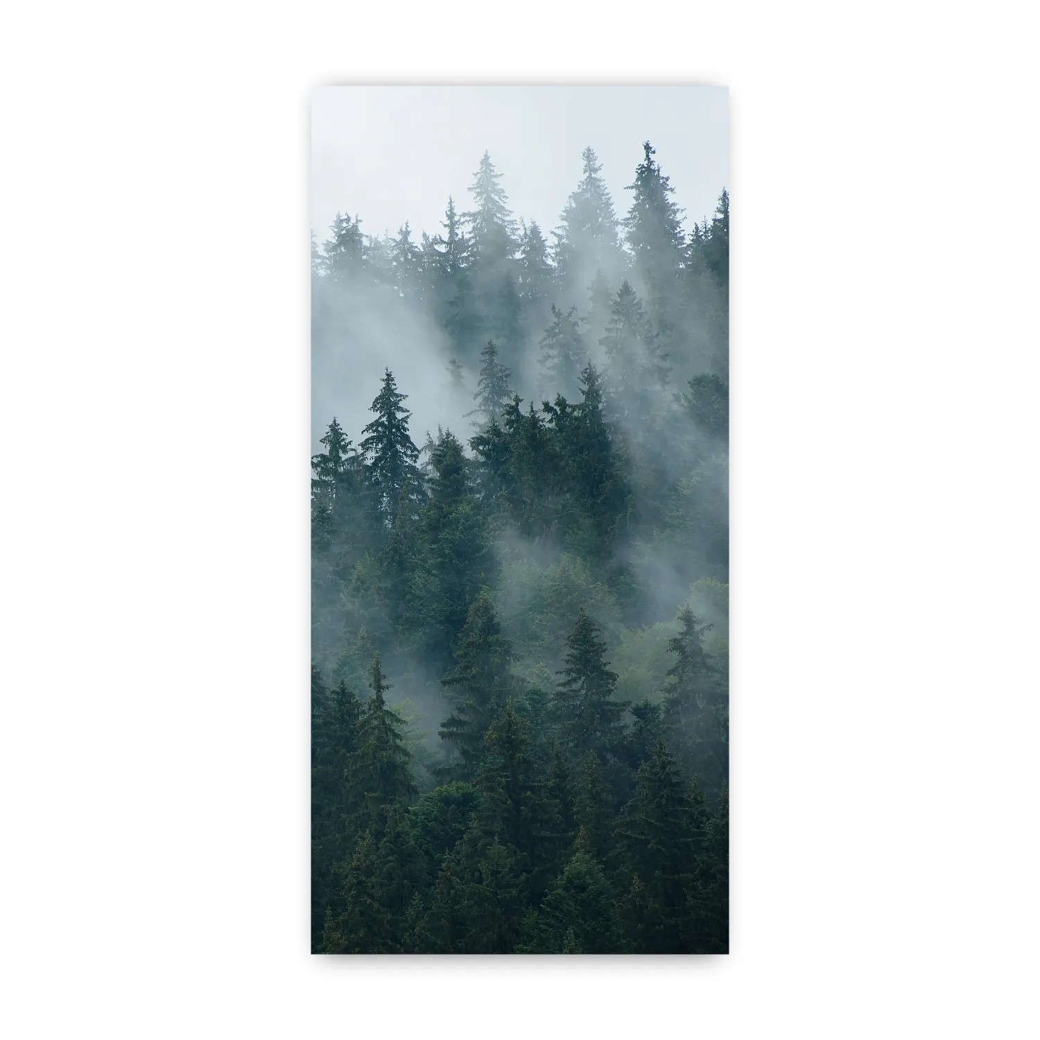 Walllux Duschrückwand Tannenwald Alu-Verbund 3 mm 100 x 210 cm