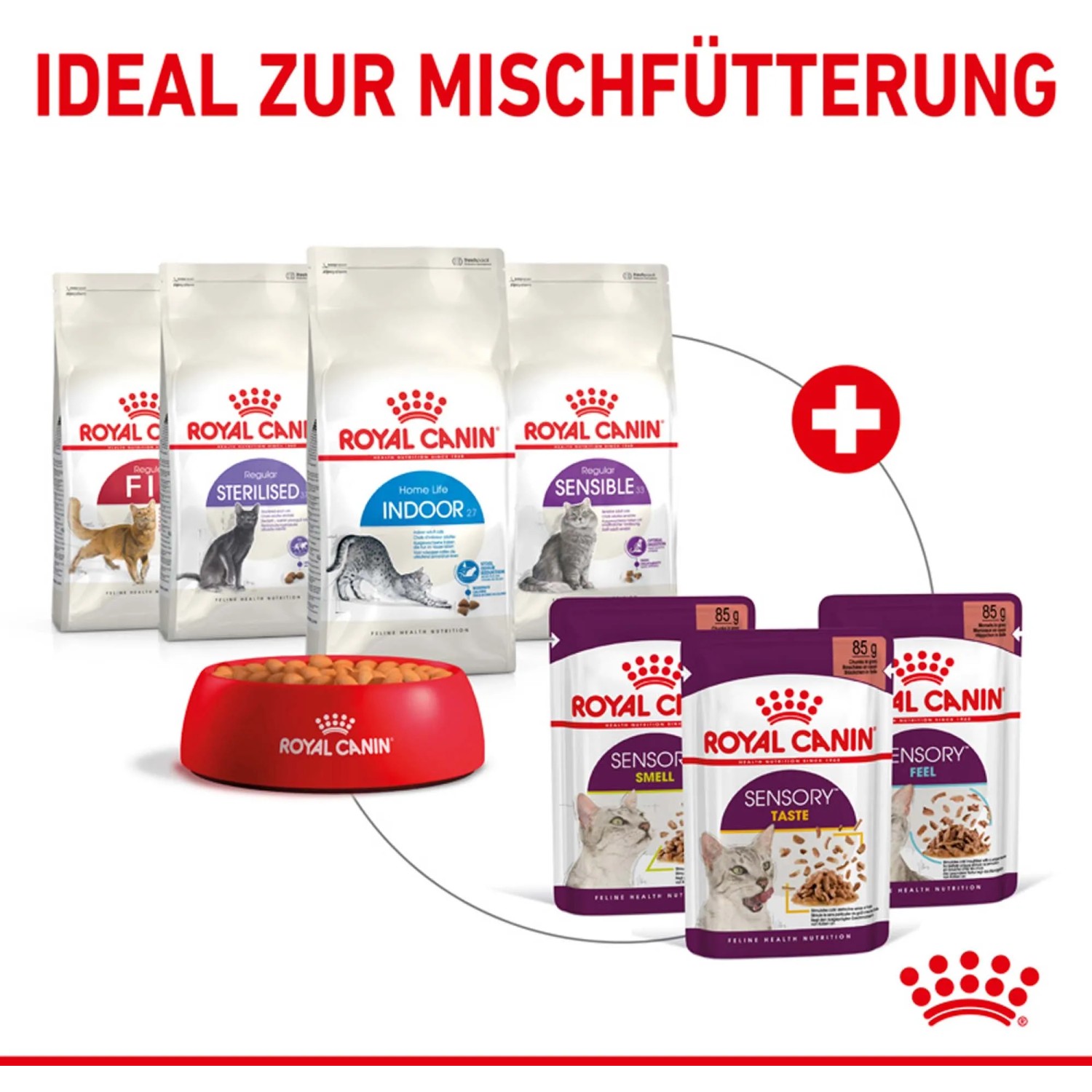 trockenfutter fr welpen test Probe Welpenfutter mit Lamm